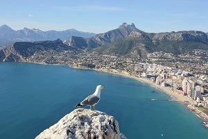 calpe