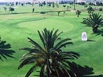 Olivia Nova Golf